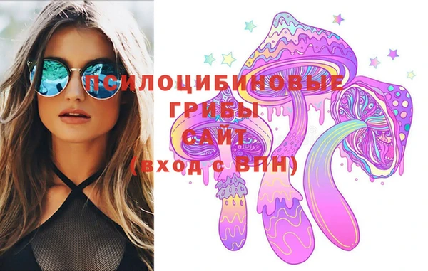 прущие грибы Алексин
