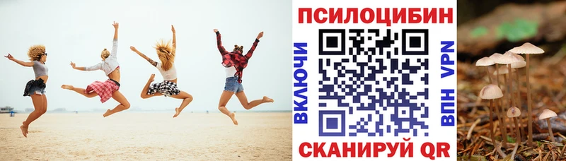 Галлюциногенные грибы прущие грибы  Купить закладки  Кущёвская 